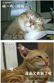 喵星人生动演绎上班族的一天好真实6