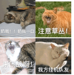 王者荣耀动物qq表情王者荣耀表情包图片qq表情arp绿色软件联盟