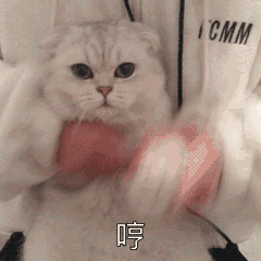 这很有可能是2019年最全的抢票攻略了