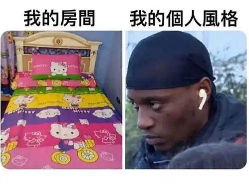 搞笑趣图我自己的房间风格vs我本人的风格