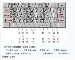 手指怎么分配打字