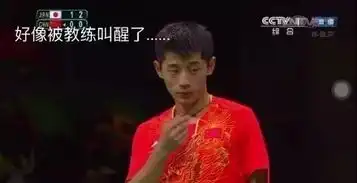 张继科,没睡醒就去参加奥运中国乒乓球队无敌