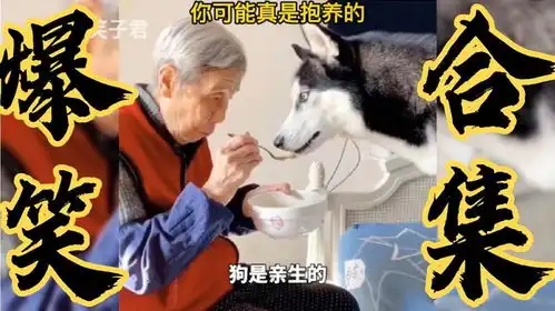 搞笑段子自从家里养了哈士奇,每次都是这样吃饭的,此属无奈啊
