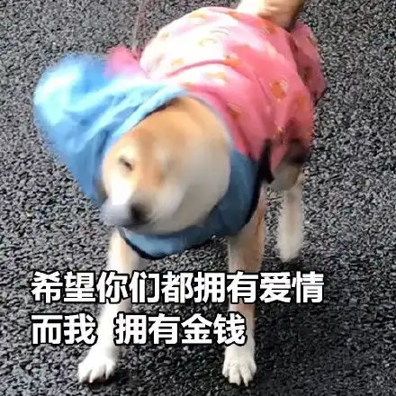 测试一个超长简介的文章