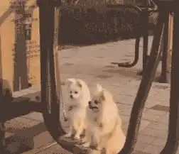 爆笑gif图真的好恶心,妹纸真的是忍无可忍了