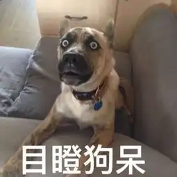 测试一个超长简介的文章