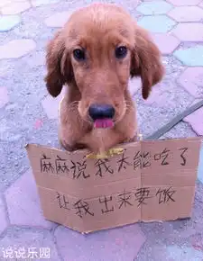 除了老司机,还有一种叫女老司机