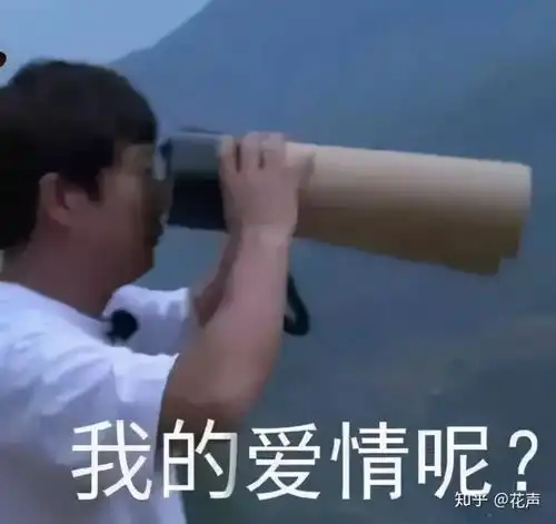 如果我做错了什么,请让法律制裁我,而不是让我去谈恋爱
