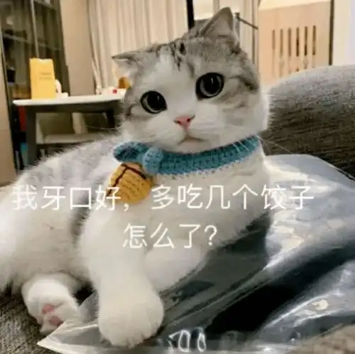 表情包1601期