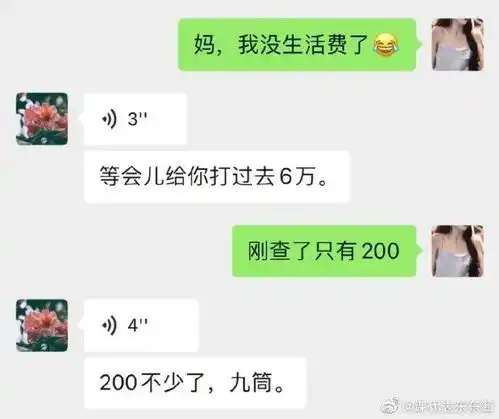 为什么装上猫还是连不上网