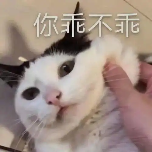 抖音热门潮图表情