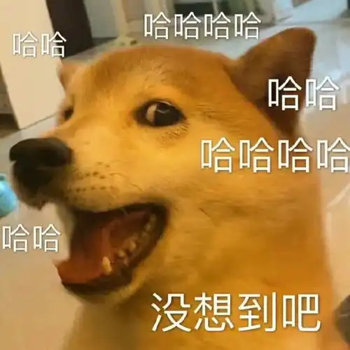 一天接到三四家银行求贷款的电话打给你的可能不是银行