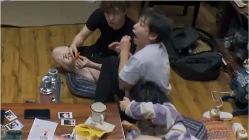 向往的生活黄渤把彭昱畅张子枫吓出表情包,蘑菇屋食物链底层兄妹
