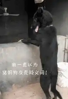 美女快醒醒,你看你奶奶都把针掏出来,把你的破洞裤给你改装了