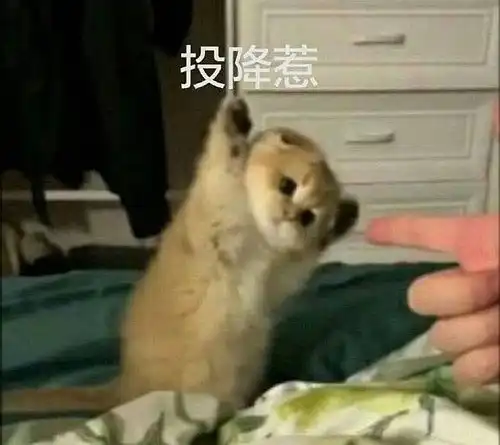 测试一个超长简介的文章