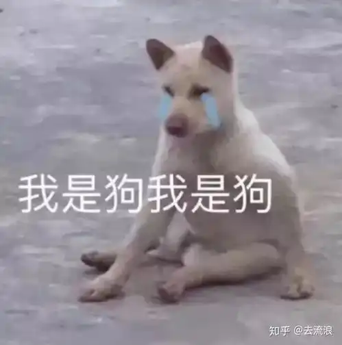 你们一天玩手机都玩几个小时