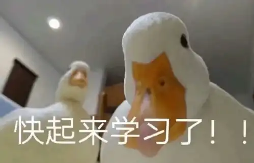 一对恋人在高速路上吵架撞车大打出手