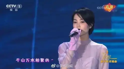 王菲的脸贾玲的腿言承旭的发今年的春晚,最火的竟然是...