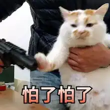 靖江一车主锁车后忘了这件事,结果8000元财物被偷......