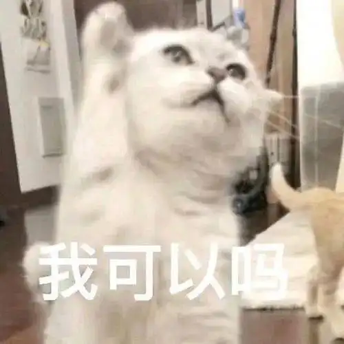 考研人均犯困,我应该熬夜备考吗