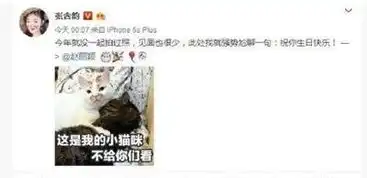 测试一个超长简介的文章