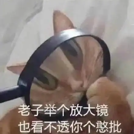 笑到肚子痛的搞笑段子,真是笑死人不偿命,句句戳中笑点