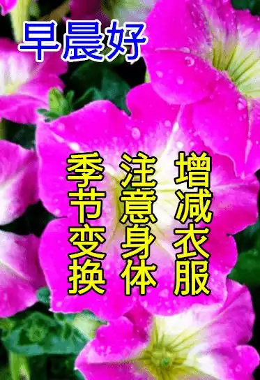 8月24日秋天早上好动态表情图片大全,早晨好动图美图大全