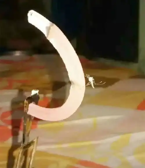 测试一个超长简介的文章