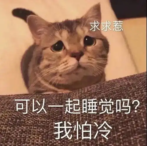 幽默搞笑表情包来,小天鹅,约一下