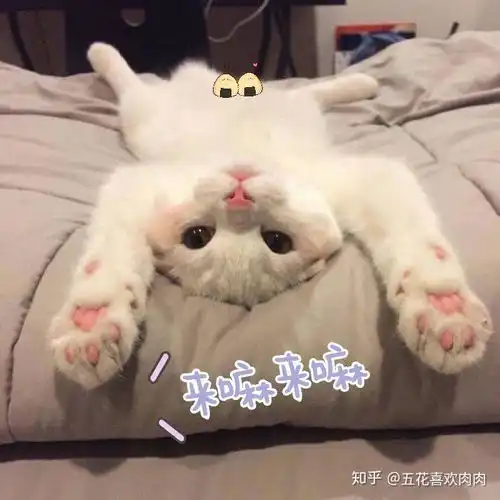 三个跟男盆友开车车的可爱表情包