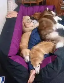 搞笑图片孩子你确定真的是在做眼保健操吗