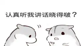 荣耀9x动画效果简单演示泽崎小弟