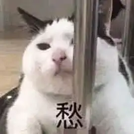 园林苗木守护人将如何守护城市绿化