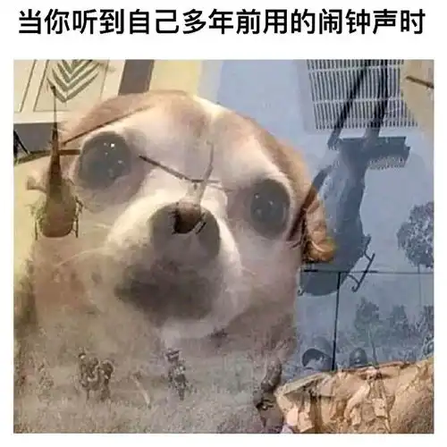 搞笑趣图夏天已经过去了,你的减肥计划进行的如何了