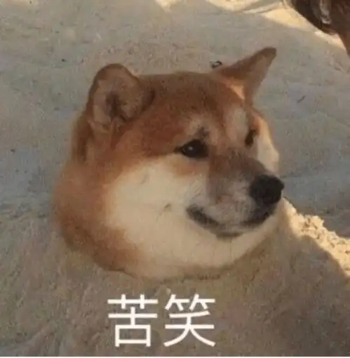 当代沙雕兮兮的朋友圈搞笑文案