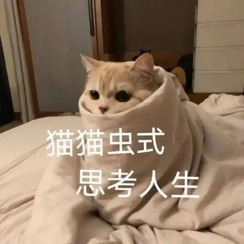 表情包我就是废物啊,你能拿我怎么样