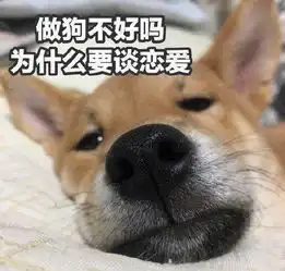 明天就是情人节,一波单身狗表情包备用