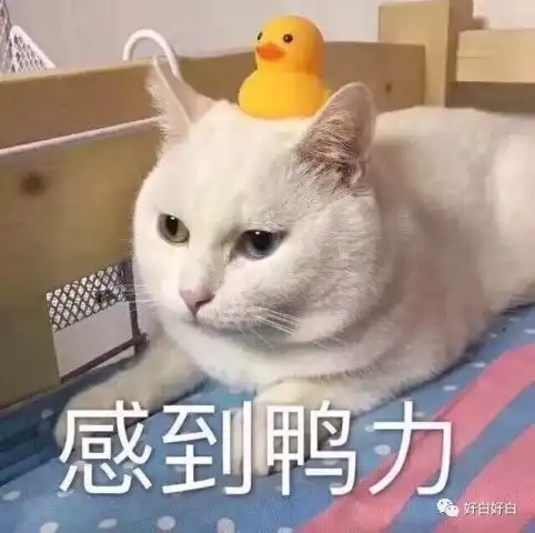 减肥这件事,胖子永远在说,而瘦子在做