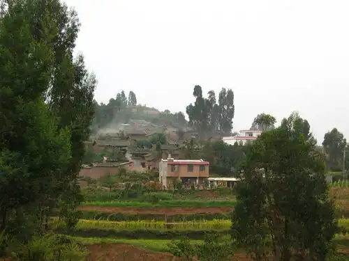 东下营村