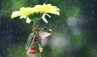周末想要出门玩阵雨约您宅家