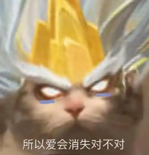王者表情包酷酷的猫咪接头王者头像,所以爱会消失对不对