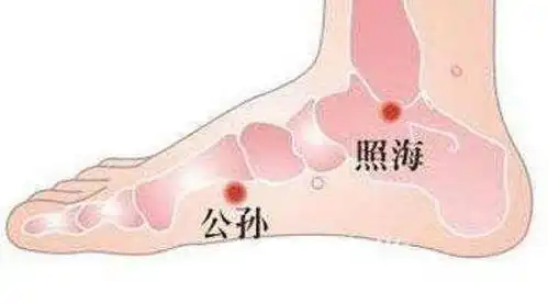 公孙穴准确位置图和作用