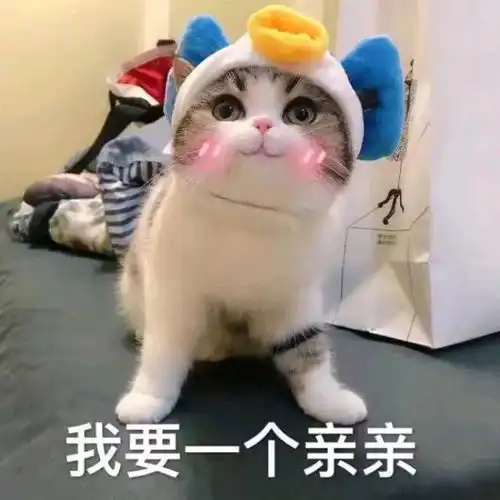 猫咪表情包我等的喵在多远的未来养猫