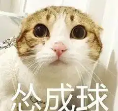理想与现实有差,养猫不是图一时好玩,是一辈子的事情