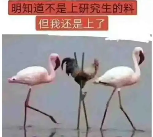社死抄论文抄到了导师头上了,他还给我了优秀,理由竟然是
