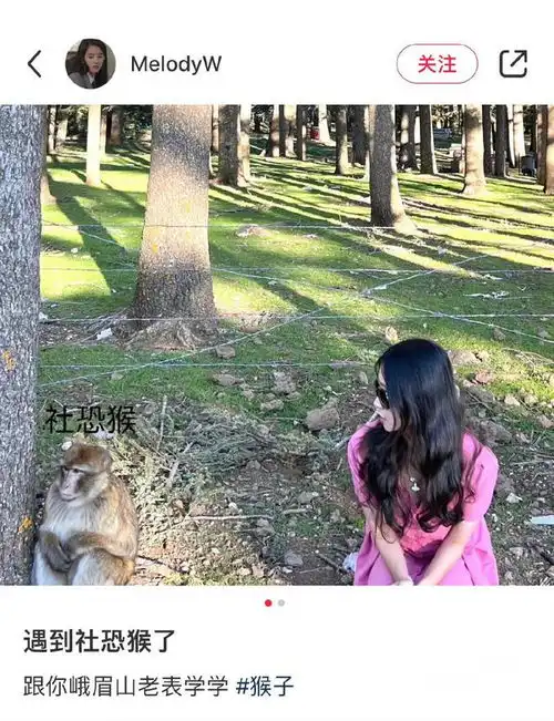 测试一个超长简介的文章