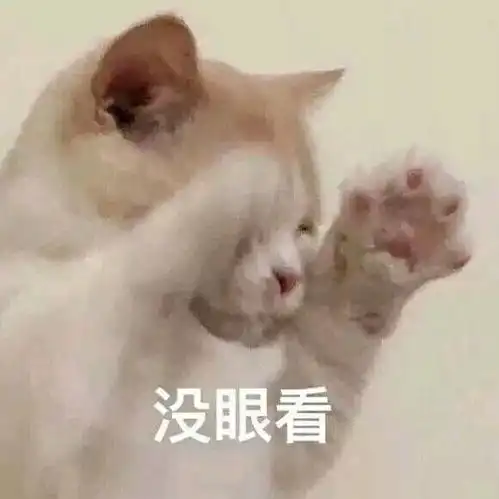 最的猫咪系列