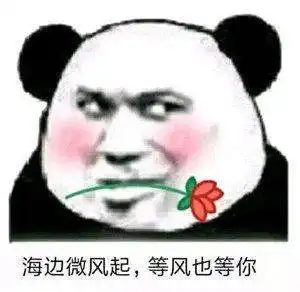 熊猫头表情包i海边微风起等风也等你