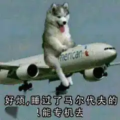 2020热门表情包排行榜陪我们走向2021这些表情包,陪我们从2020走到了2021