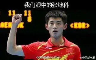 第一局输了,张继科我只是没睡醒